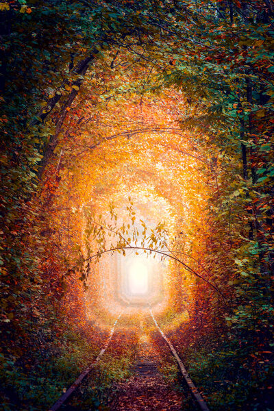 Fantastic Autumn Trees Tunnel with old railway - Tunnel of Love. Natural tunnel of love formed by trees. Ukraine. Real autumnal landscape of nature