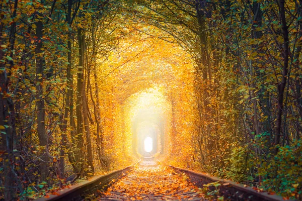 Herfst Seizoen Landschap Fantastische Herfst Bomen Tunnel Met Oude Spoorweg — Stockfoto