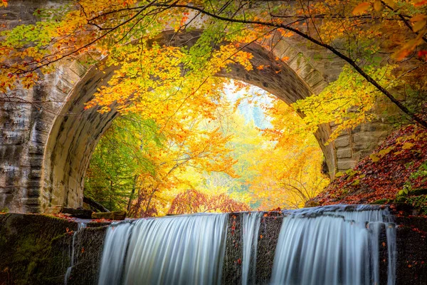 Fantastik Sonbahar Manzarası Renkli Sonbahar Orman Parkında Nehir Şelalesi Eski - Stok İmaj