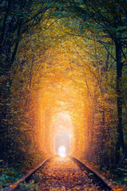 Eski demiryolu ile Eski Sonbahar Ağaçları Tüneli - Aşk Tüneli. Ağaçların oluşturduğu doğal aşk tüneli. Ukrayna, Avrupa. Gerçek sonbahar manzarası