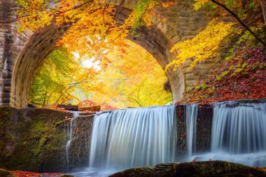 Golden Fall Sonbahar manzarası. Renkli sonbahar orman parkında nehir şelalesi. Eski köprü ve duvar kâğıdı arka planında sarı kırmızı yapraklar.