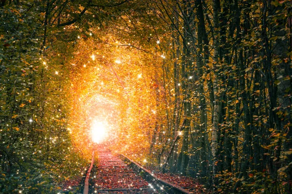 Lugar Brilho Fadas Túnel Árvores Outono Com Caminho Ferro Antigo Fotos De Bancos De Imagens Sem Royalties