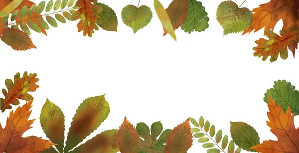 Illustration Autumn Template Frame Colorful Oak Walnut Acorn Leaves Decorative — Stock Photo, Image