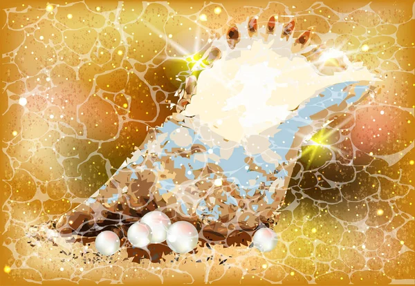 貝殻や真珠 夏の背景 ベクトルイラスト — ストックベクタ