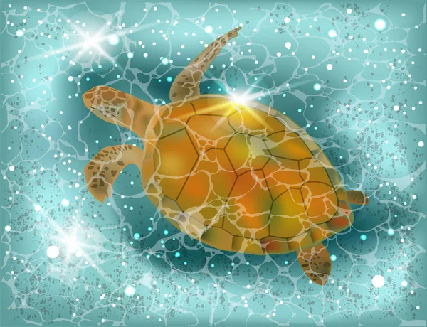 Tropische Zeeschildpad Zomer Feestkaart Vector Illustratie — Stockvector