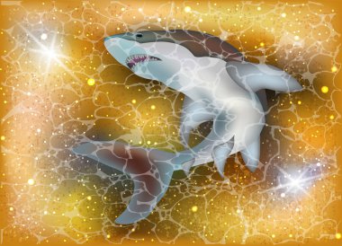 Köpekbalığı yaz partisi kartı, vektör illüstrasyon