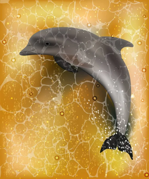 Dolphin Greeting Summer Card Vector Illustration — Stock Vector