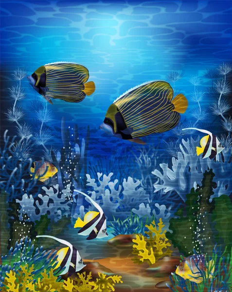Papel Parede Subaquático Com Peixes Tropicais Ilustração Vetorial —  Vetores de Stock