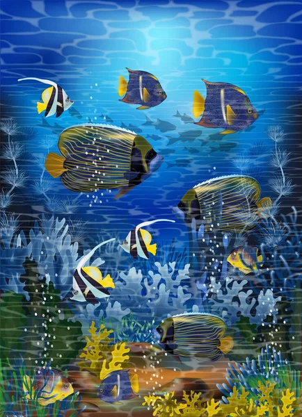 Подводная Карта Тропическими Рыбами Векторная Иллюстрация — стоковый вектор