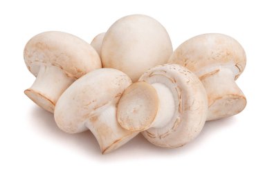 Mantar yolu beyaz üzerinde izole