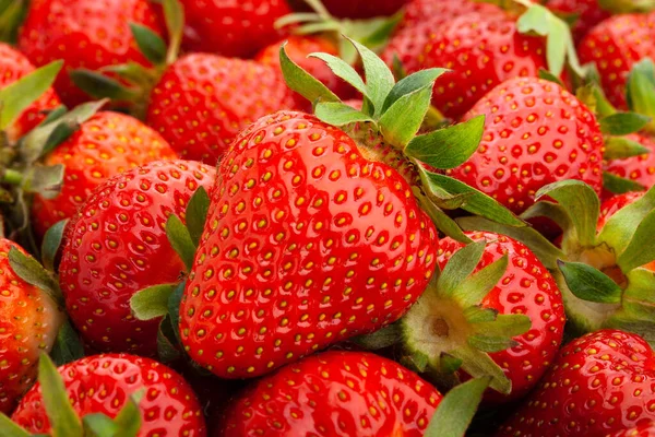 Strawberry Group Macro Closeup Focus Detail — Stock Photo, Image