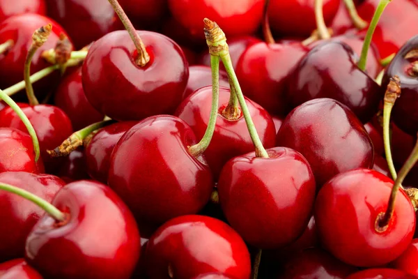 Kirsche Fokus Makro Detail Nahaufnahme — Stockfoto