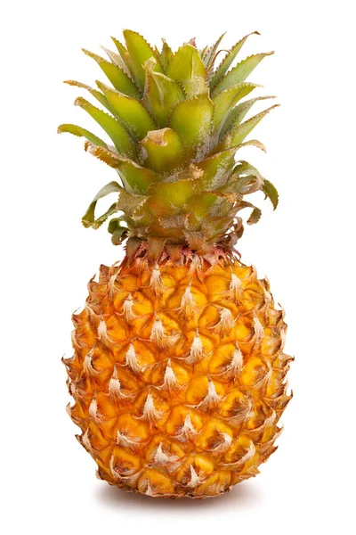 Mini Ananas Pfad Isoliert Auf Weiß — Stockfoto