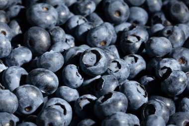 yaban mersini grubu makro detayı yakın plan