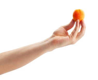 Kayısı, beyaz yolda izole edilmiş.