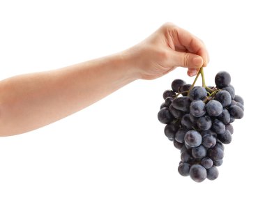 Mavi üzüm beyaz yolda izole edilmiş.