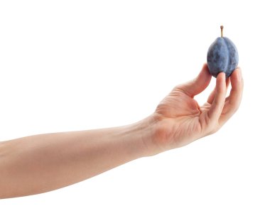 Mavi erikler beyaz yolda izole edilmiş.