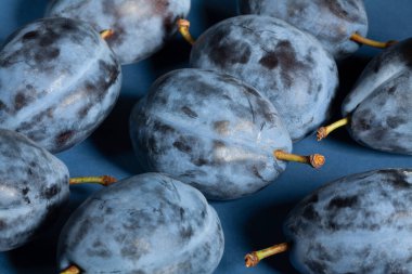 mavi arkaplanda mavi erikler