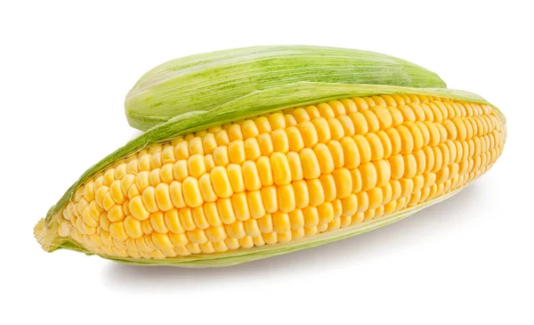 Kukorica Elszigetelt Fehér — Stock Fotó