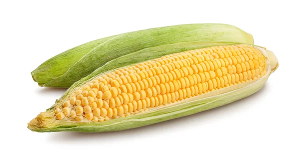 Kukorica Elszigetelt Fehér — Stock Fotó