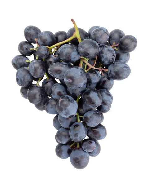 Blue Grape Path Isolated White — Stock Photo, Image