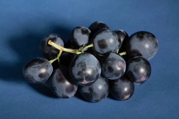 Blue Grape Blue Background — Stock Photo, Image