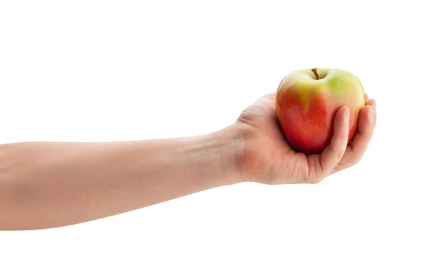 Red Green Apple Hand Path Isolated White — Stock Photo, Image