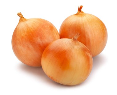 Soğan yolu beyazda izole edildi