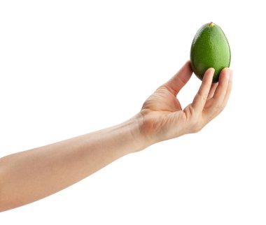 Avokado beyaz yolda izole edildi