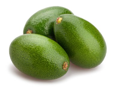 avokado yolu beyazda izole edildi