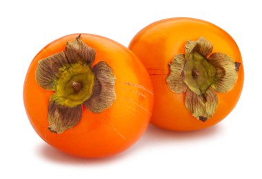 hurma yolu beyazda izole edildi