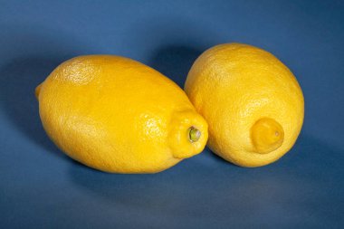 mavi arkaplanda limon grubu