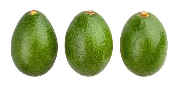 Avocado Pfad Isoliert Auf Weiß — Stockfoto