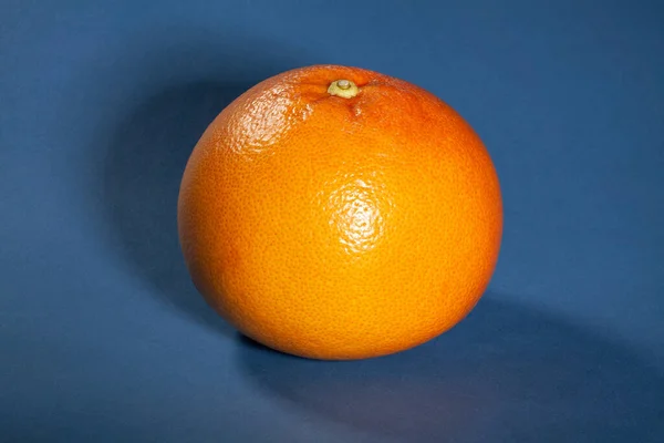 Single Grapefruit Blue Background — Stock Photo, Image