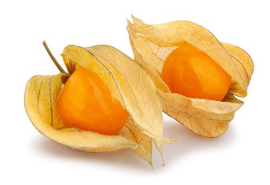 physalis yolu beyaz üzerinde izole