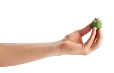 feijoa beyaz yolda izole edildi