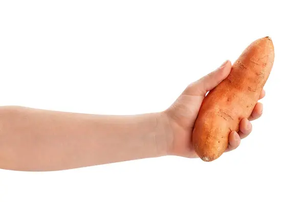 Zoete Aardappel Hand Pad Geïsoleerd Wit Stockfoto