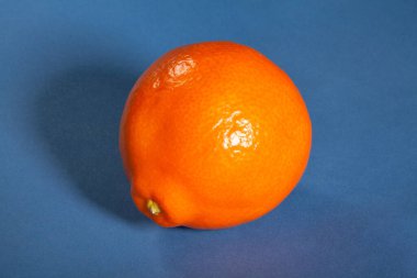 mavi arkaplanda minneola tangelo mandalina