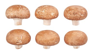 Kahverengi mantar yolu beyaz üzerinde izole