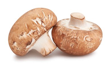 Kahverengi mantar yolu beyaz üzerinde izole