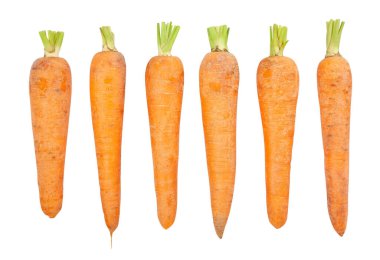 Havuç yolu beyazda izole edildi