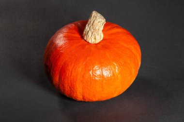 Siyah arkaplanda kırmızı kuri kabağı