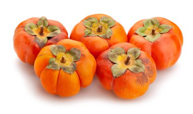 hurma yolu beyazda izole edildi