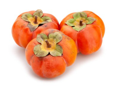 hurma yolu beyazda izole edildi