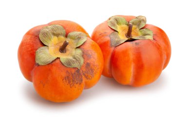 hurma yolu beyazda izole edildi