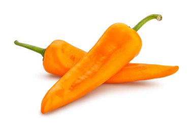 uzun biber yolu beyaz üzerinde izole