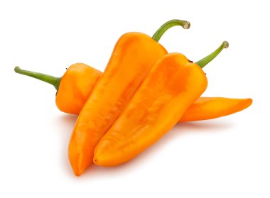 uzun biber yolu beyaz üzerinde izole