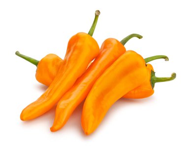 uzun biber yolu beyaz üzerinde izole