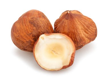 Fındık yolu beyazda izole edildi