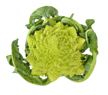 Romanesco brokoli yolu beyaz üst görünümde izole edildi